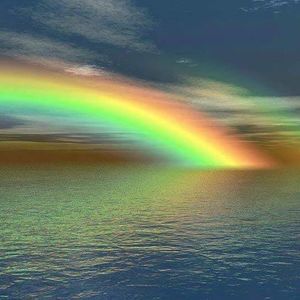 Meet your Posher, Terri